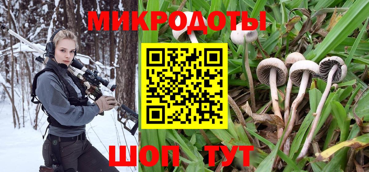 Галлюциногенные грибы MAGIC MUSHROOMS Краснодар